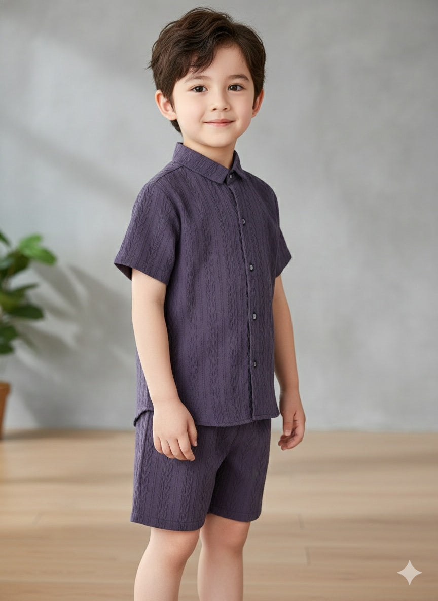 Kids Solid Purple Shirt & Shorts Co-Ord Set