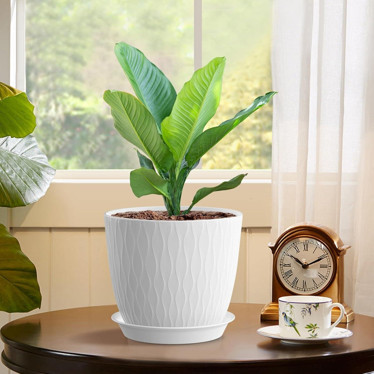 (Pack of 5) White 7-inch Plant Pots