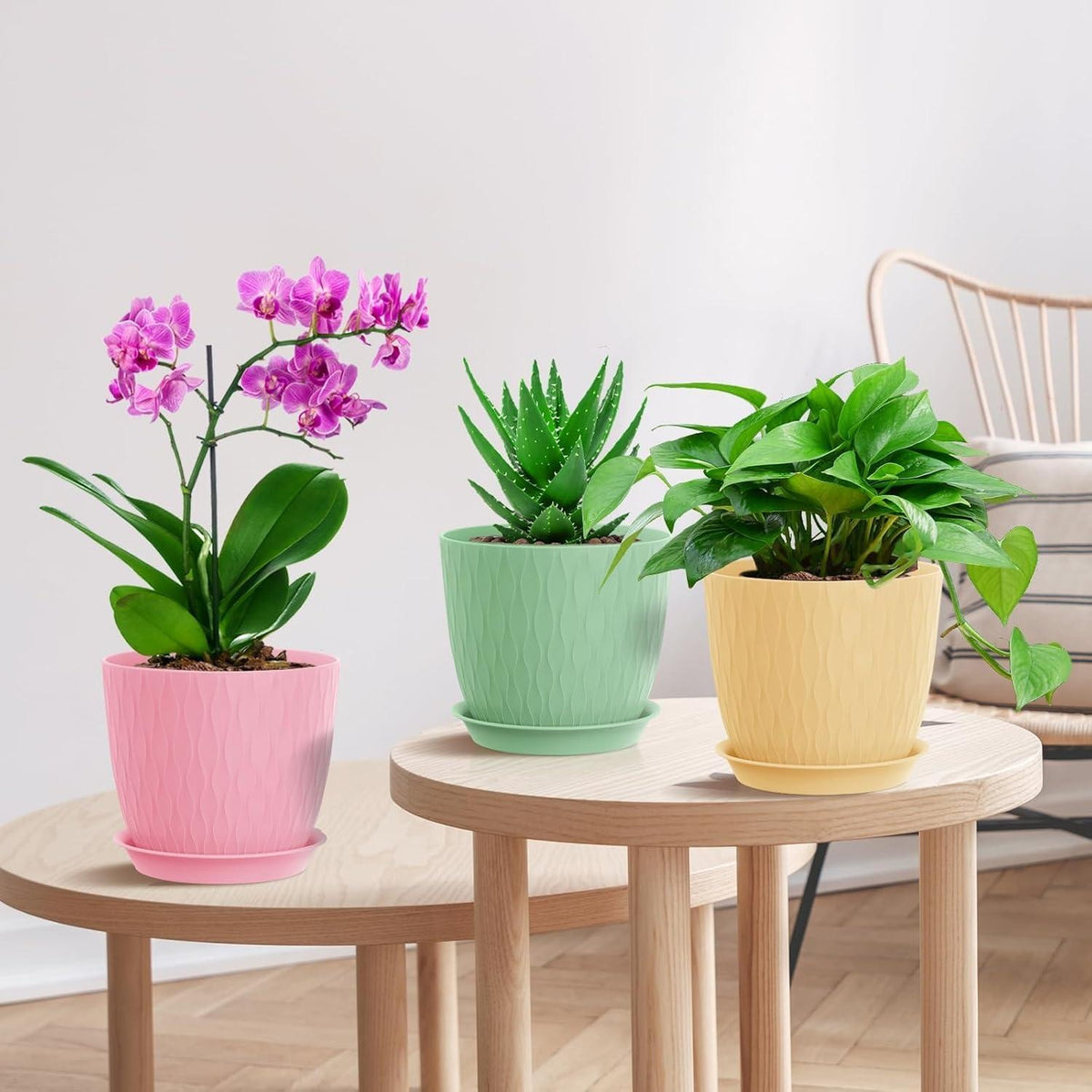 (Pack of 5) 7-inch Plant Pots – Multicolor